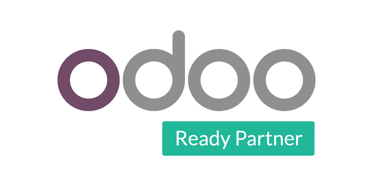 Bagubits Odoo Resdy Partnership